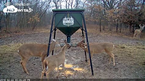 This is the decision of the Debit Credit Card Issuer. . Deer feeders at buc ees